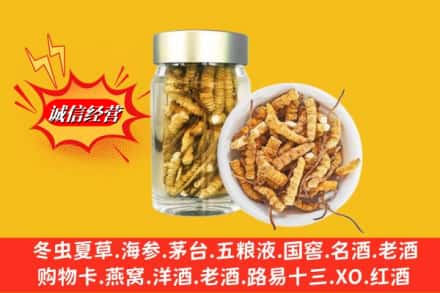 沈阳市回收散虫草