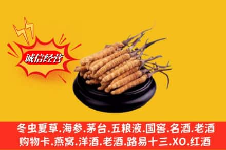 沈阳市求购回收虫草多少钱每克